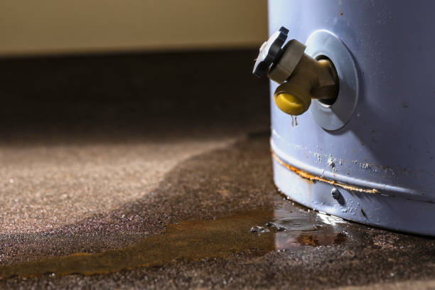 Professional Water damage restoration in Aberdeen, WA