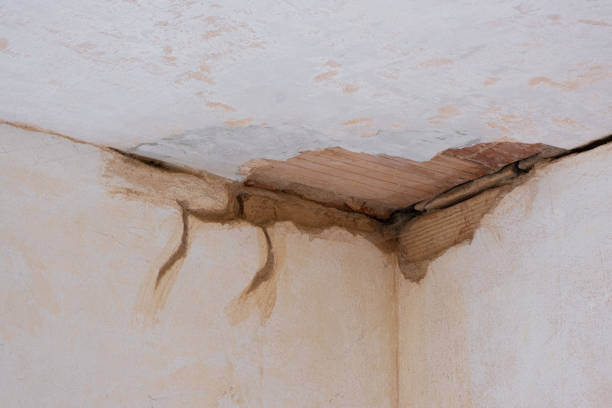 Best Fire Damage Restoration  in Aberdeen, WA
