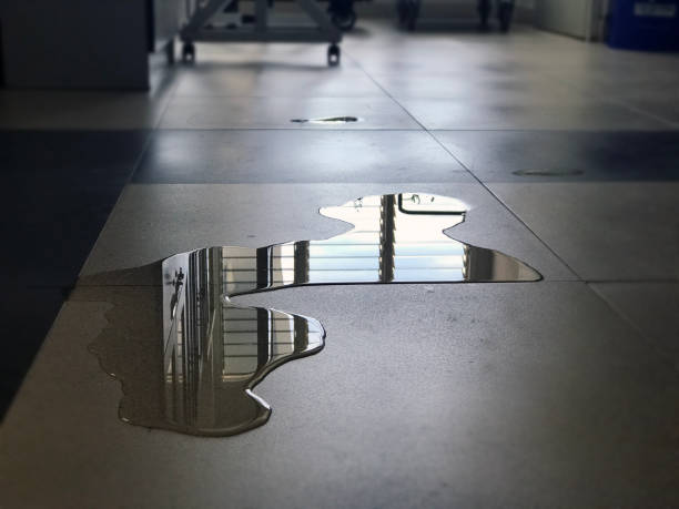 Local water damage restoration in Aberdeen, WA