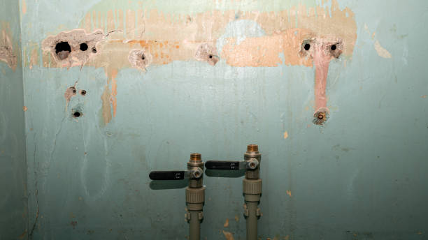 Best Water damage restoration near me  in Aberdeen, WA